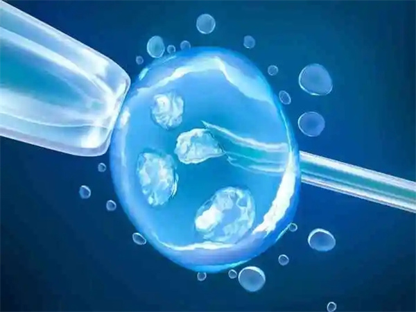 试管婴儿全流程解析帮助对试管宝宝有更深入的了解